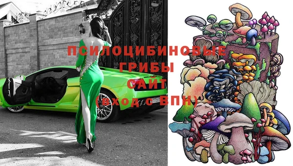 а пвп мука Нея