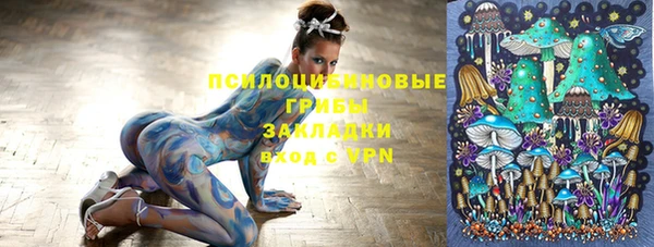круглые Надым