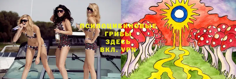 Галлюциногенные грибы MAGIC MUSHROOMS  площадка Telegram  Жуков  наркота 